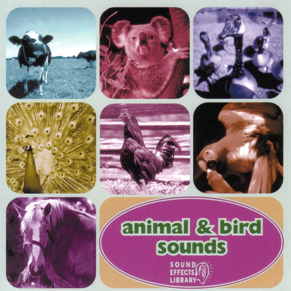 Image for Animal & Bird Sounds