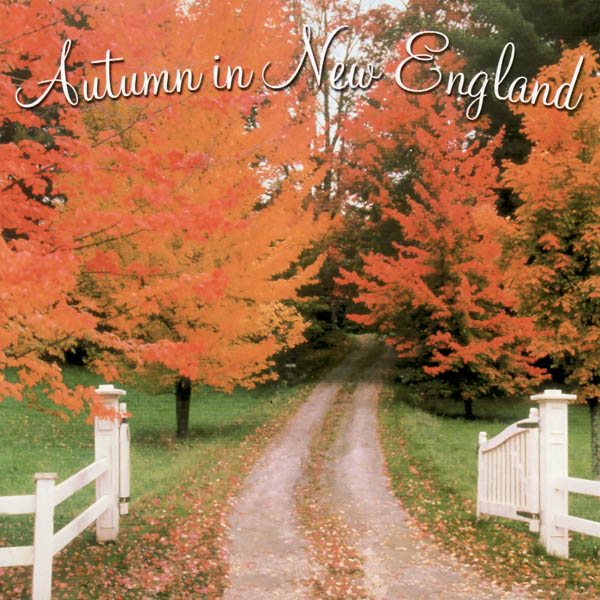 Image for Autumn in New England