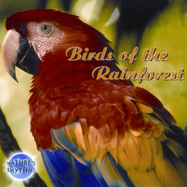 Nature's Rhythms: Birds Of The Rainforest