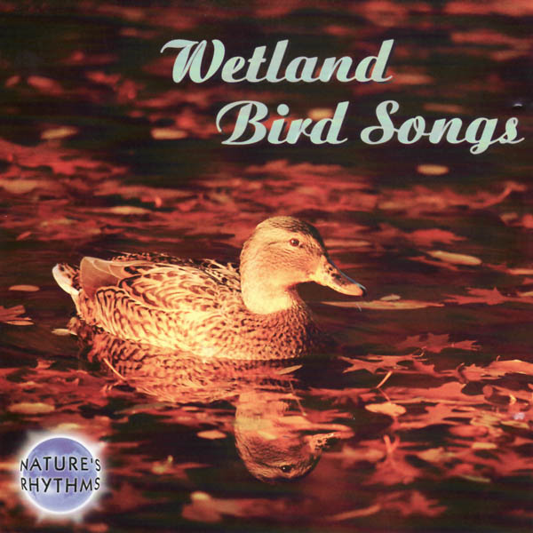 Image for Nature’s Rhythms: Wetland Bird Songs