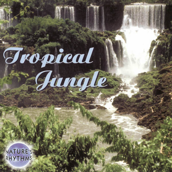 Nature's Rhythms: Tropical Jungle