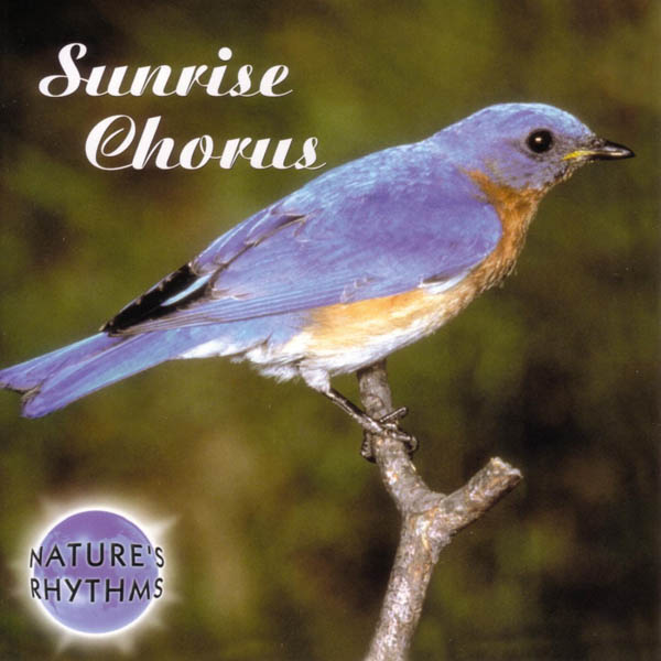Nature's Rhythms: Sunrise Chorus