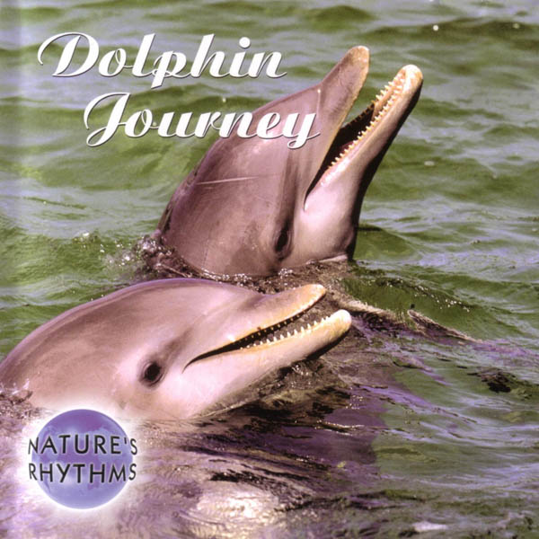 Nature's Rhythms: Dolphin Journey