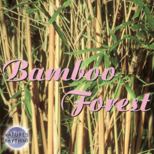 Nature's Rhythms: Bamboo Forest