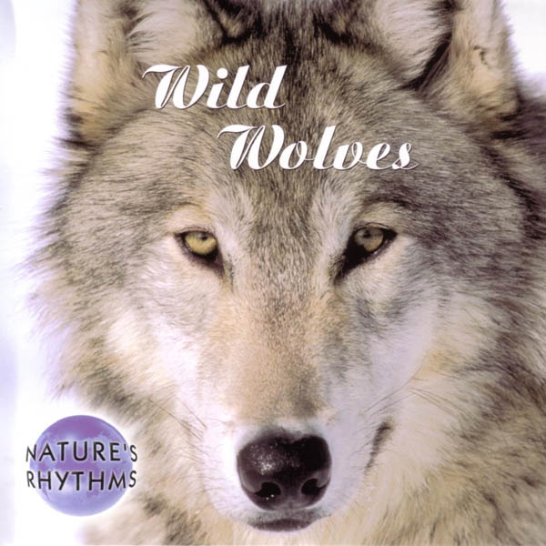 Nature's Rhythms: Wild Wolves