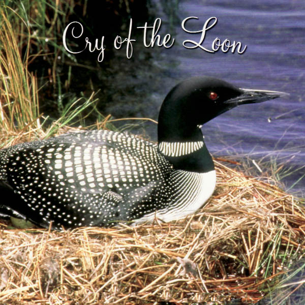 Image for Cry of the Loon