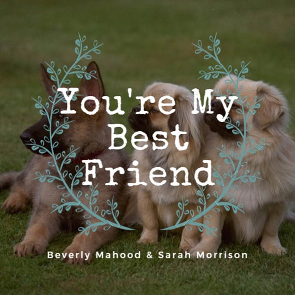 Image for You’re My Best Friend