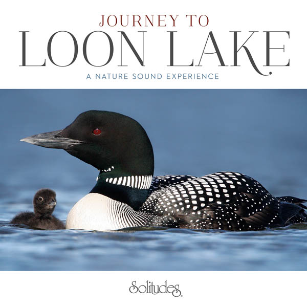 Journey to Loon Lake