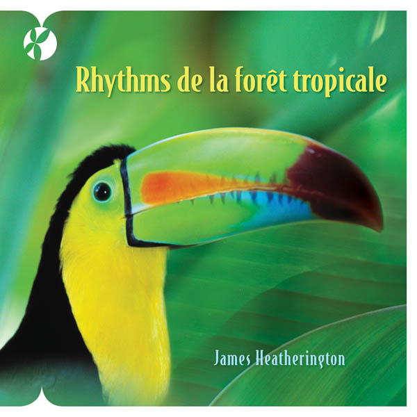 Rhythmes de la forêt tropicale