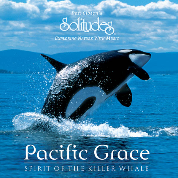 Pacific Grace Spirit of the Killer Whale