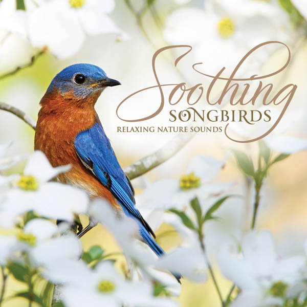 Soothing Songbirds
