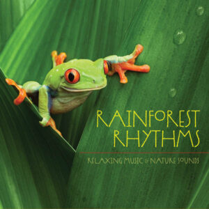 Rainforest Rhythms