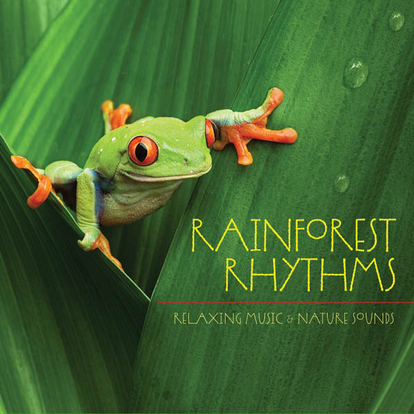 Image for Rainforest Rhythms