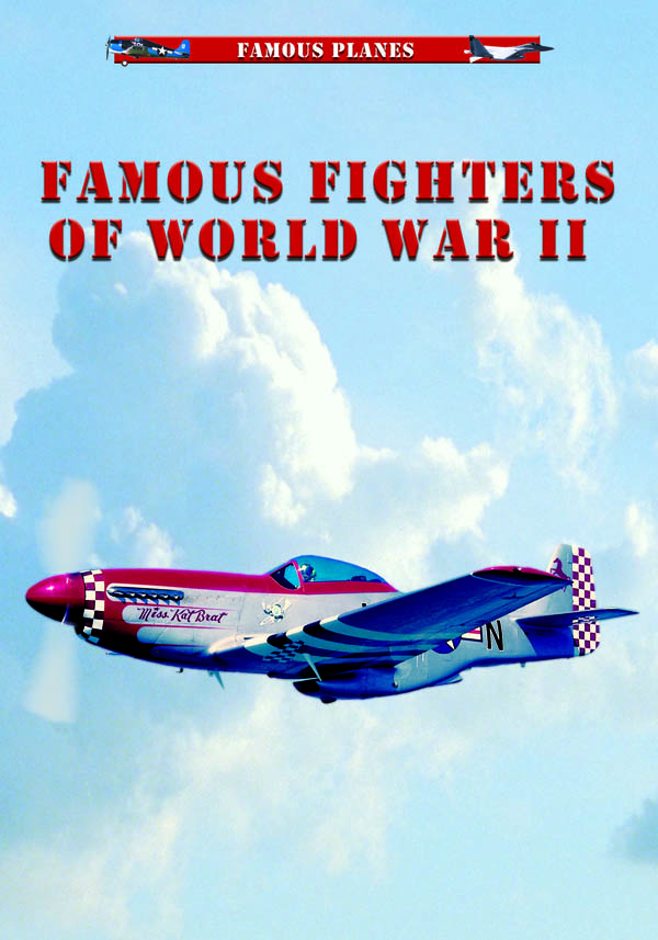 Image for Famous Fighters of WWII