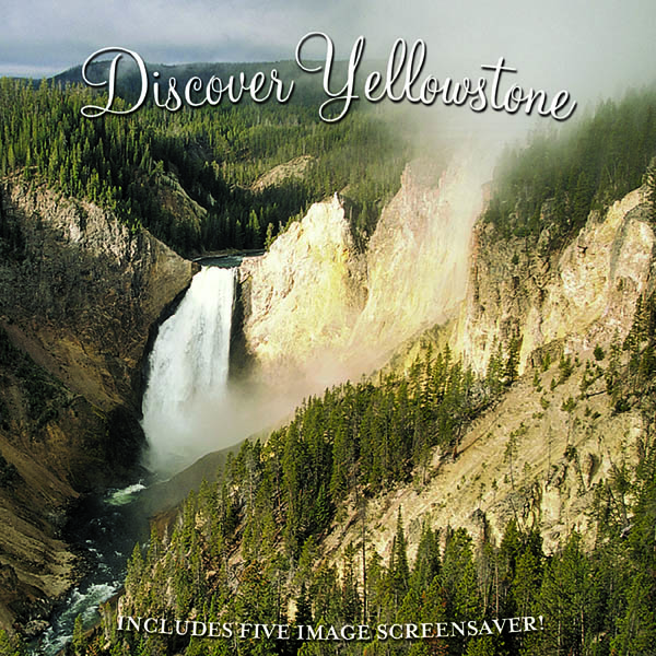 Image for Discover Yellowstone