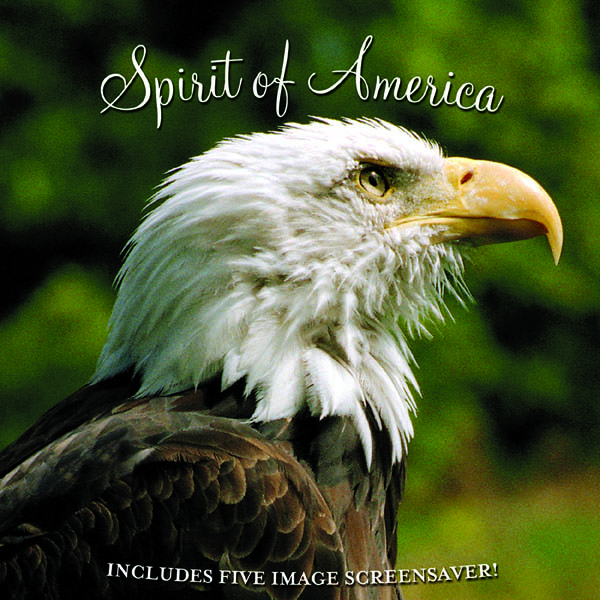 Image for Spirit of America