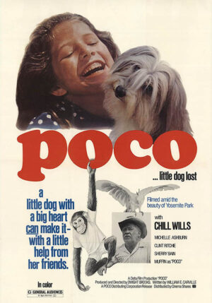 Poco... Little Dog Lost
