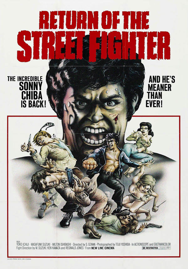 Image for Return of The Street Fighter