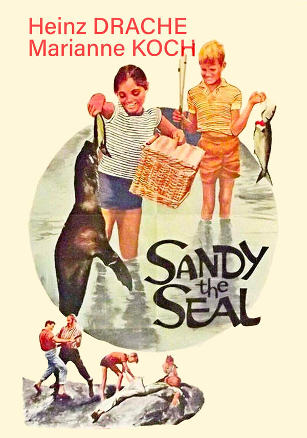 Image for Sandy the Seal