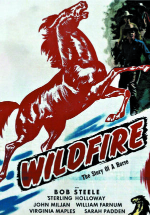 Wildfire: Story of a Horse