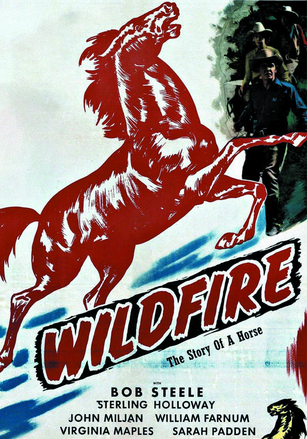 Image for Wildfire: Story of a Horse