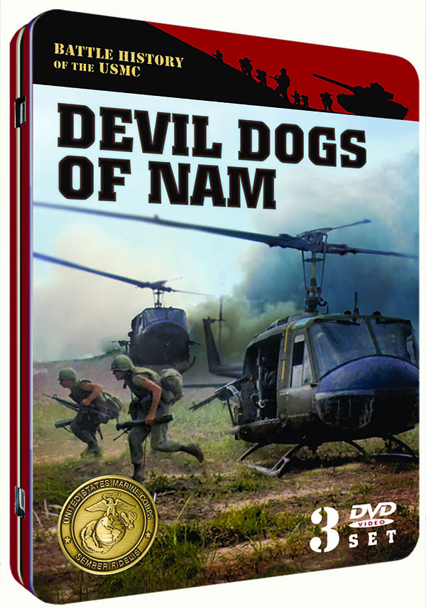 Image for Devil Dogs of Nam