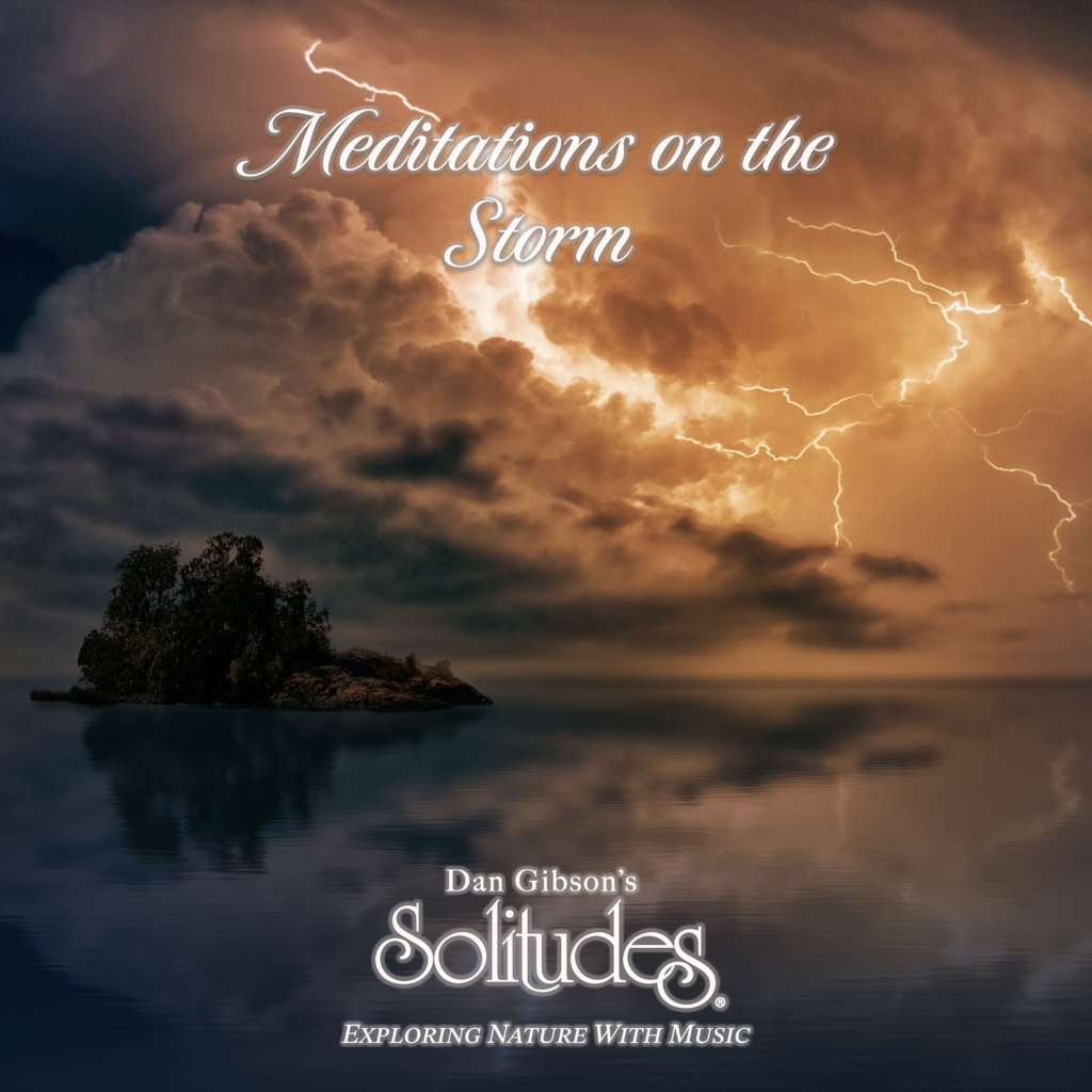 Image for Meditations on the Storm