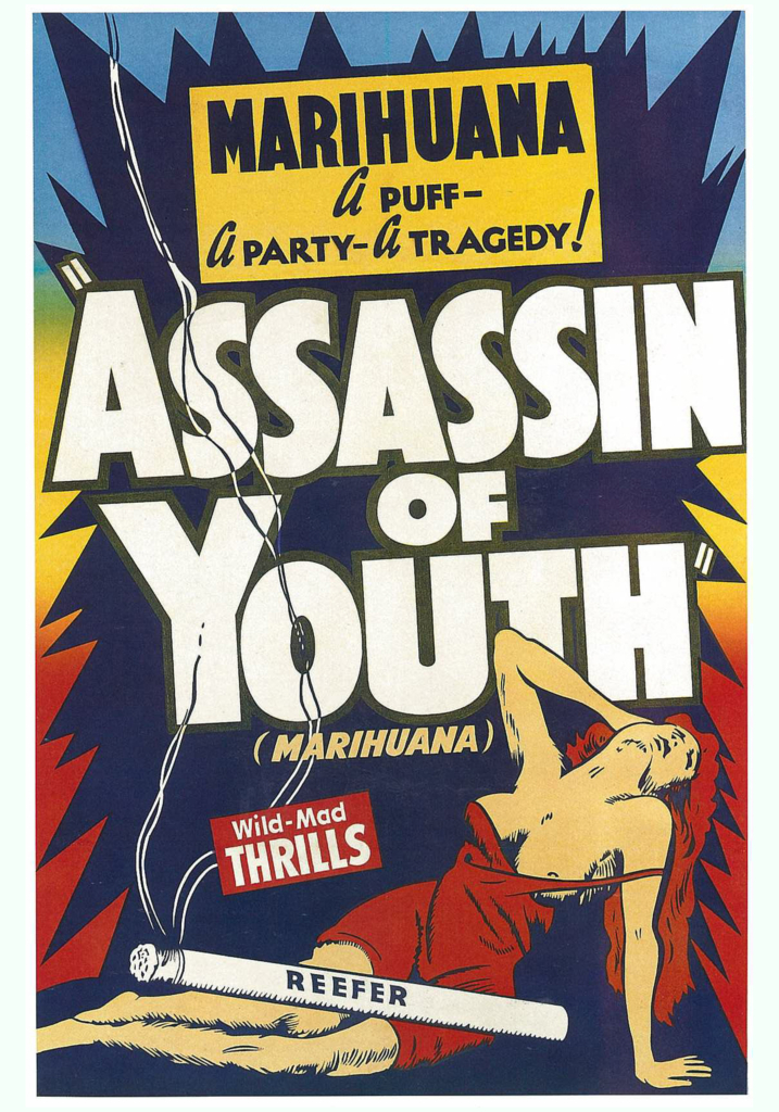 Image for Assassin of Youth