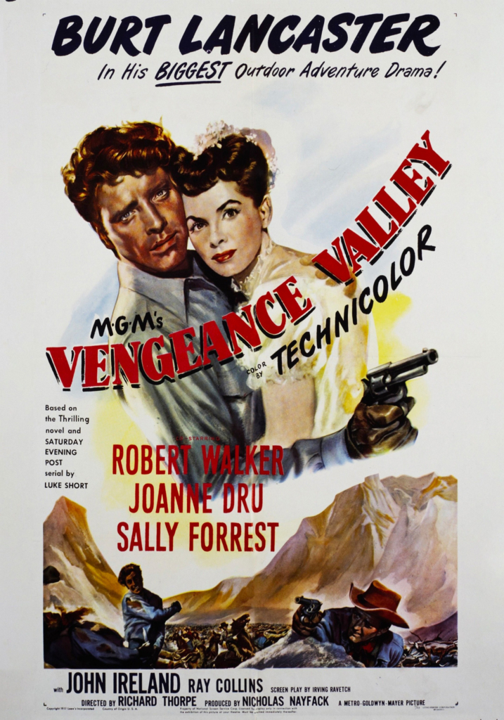 Image for Vengeance Valley
