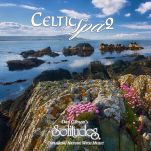 Celtic Spa II