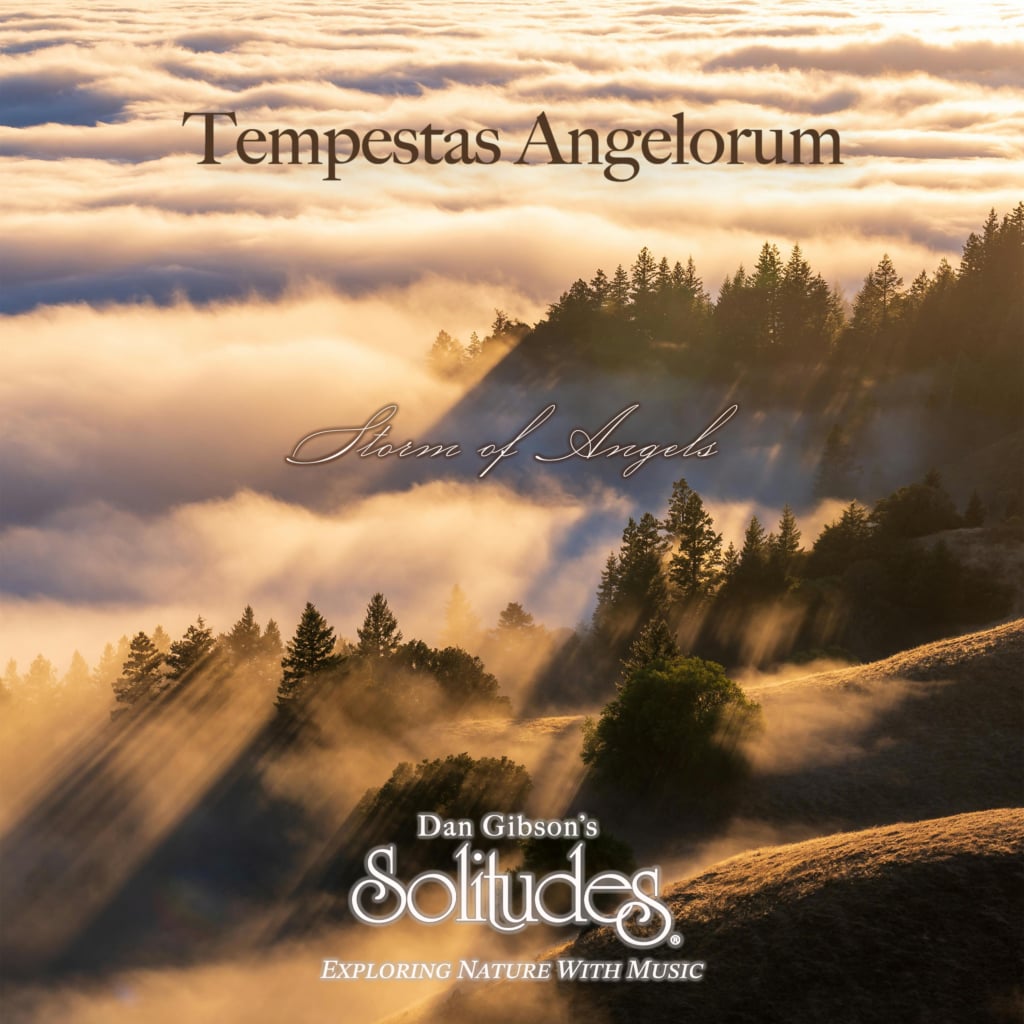 Image for Tempestas Angelorum: Storm of Angels