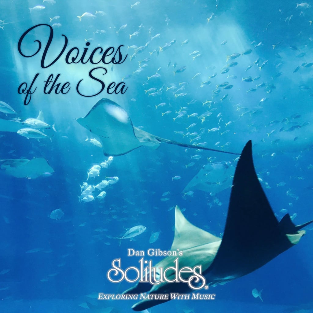 Image for Voices of the Sea