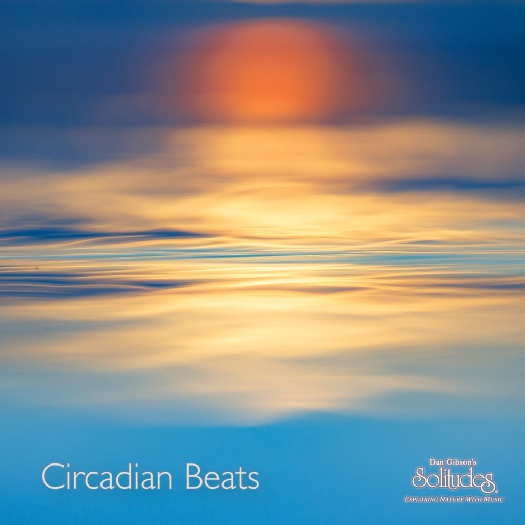Image for Circadian Beats